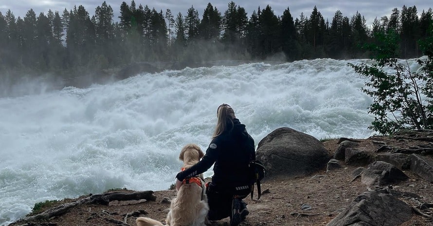 Human And Dog Are Looking At The River